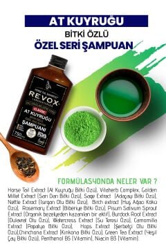 Revox At Kuyruğu Bitki Özlü Saç Bakım Şampuanı / 2 Li Set / 750 ml + 750 ml
